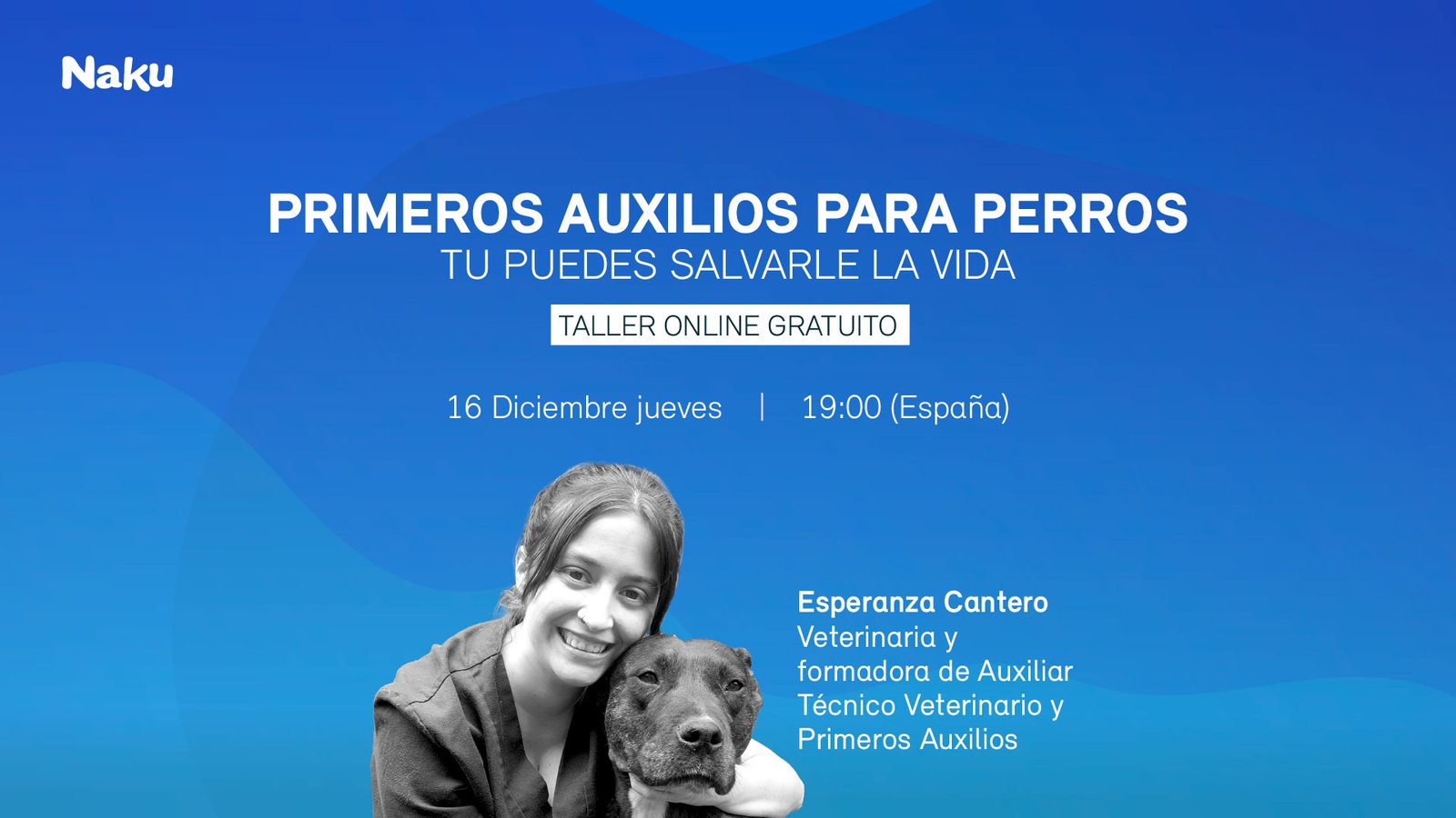 Directo Primeros Auxilios para perros