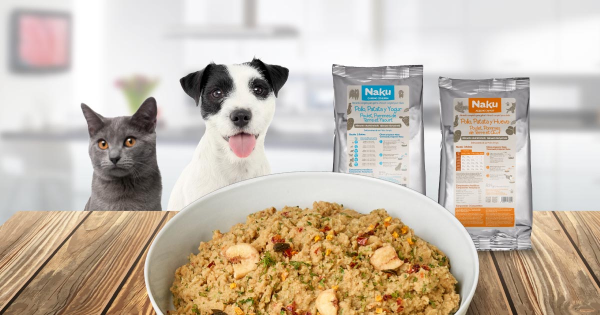 Súper Guía: comida húmeda vs comida seca en gatos y perros